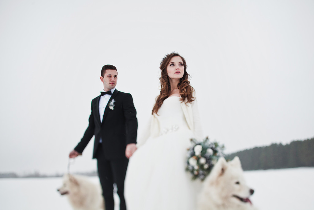 maries-neige-chien-loup- Albe Editions - mariage - wedding - 5 raisons de se marier
