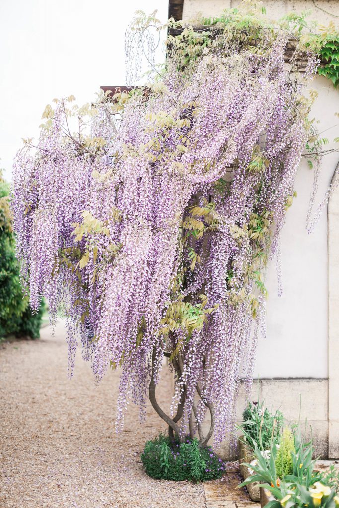 Le Wedding Magazine - ©Sorya Pedoussaut