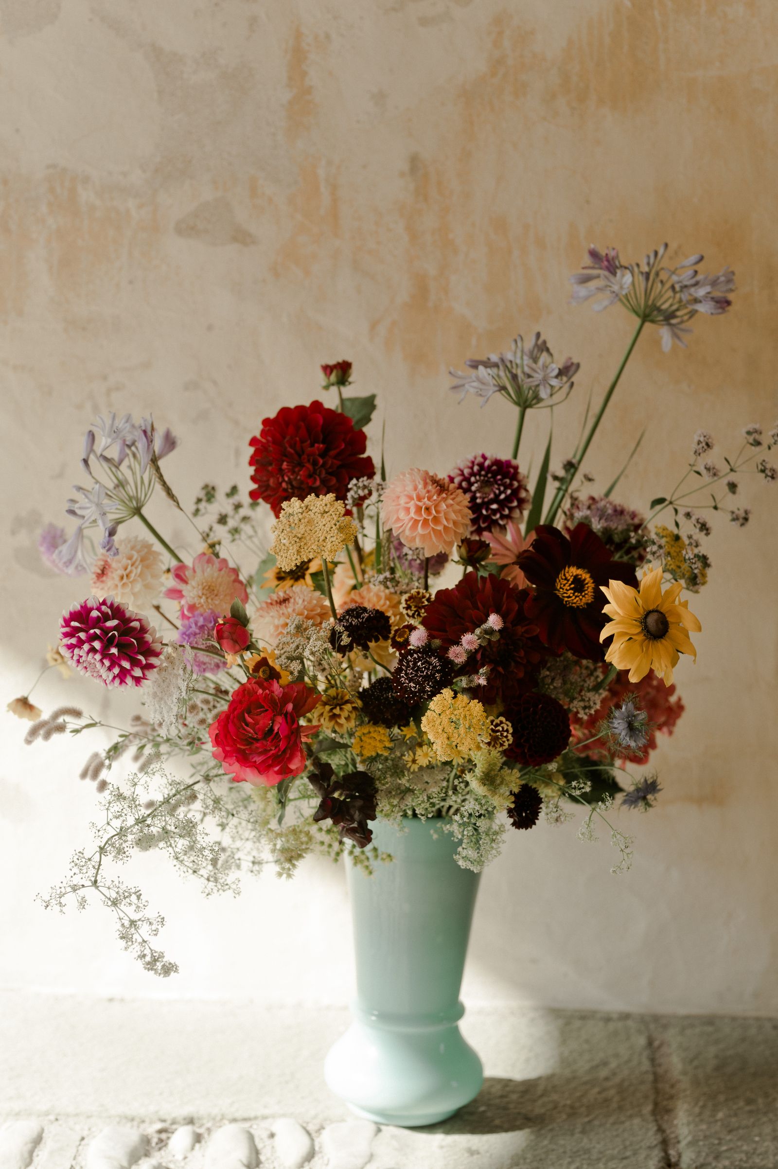 Albe EDITIONS - Shooting éditorial