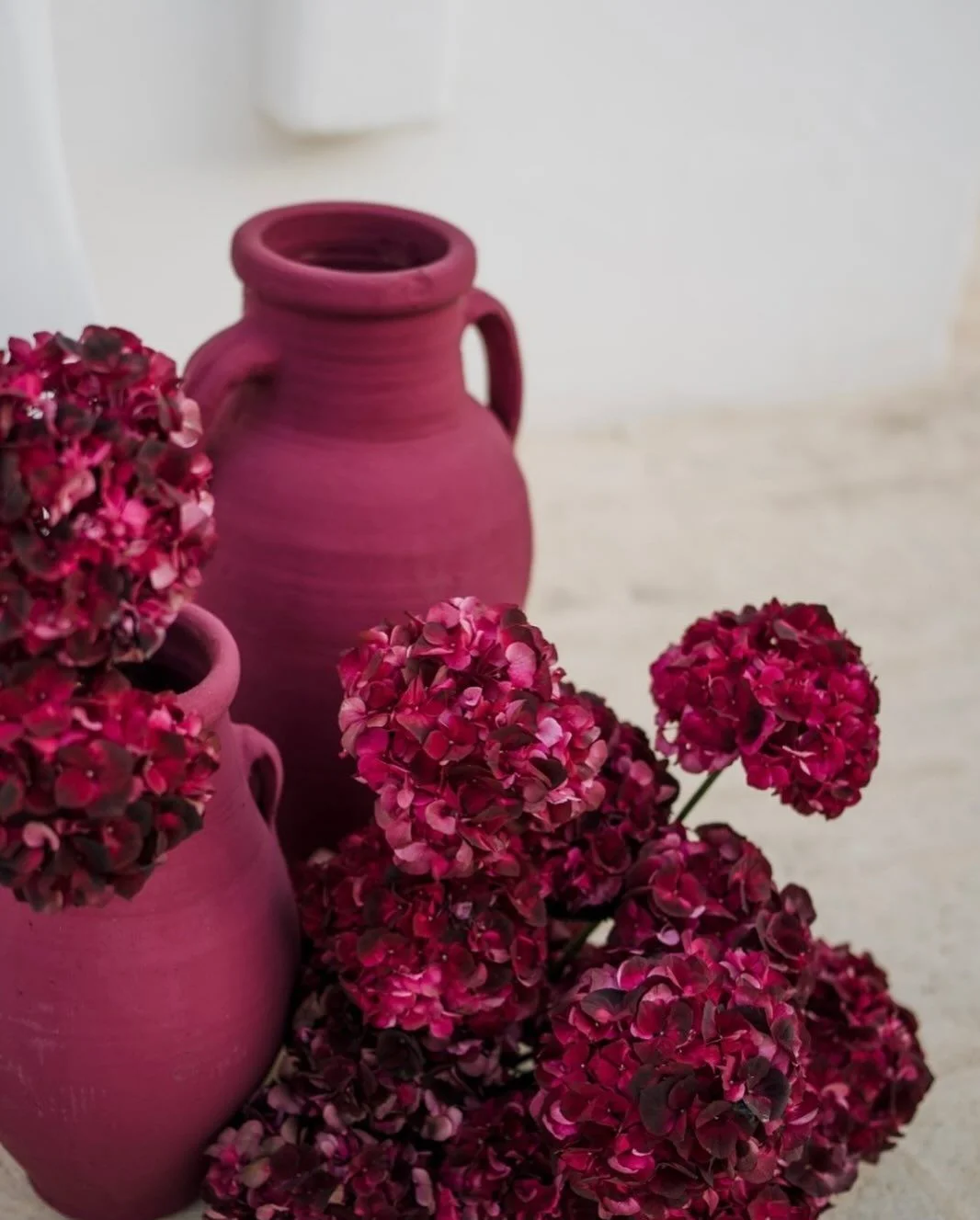 hortensias et pots en violet